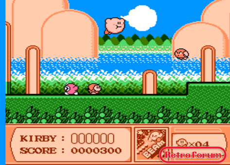 Kirby's Adventure