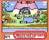 RhpG1 - 26. Wario Land 3