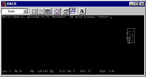 nethack.jpg