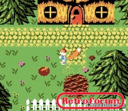 RhpG4 - 071. Conker's Pocket Tales